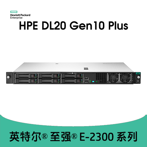 HPE DL20 Gen10 Plus 服务器