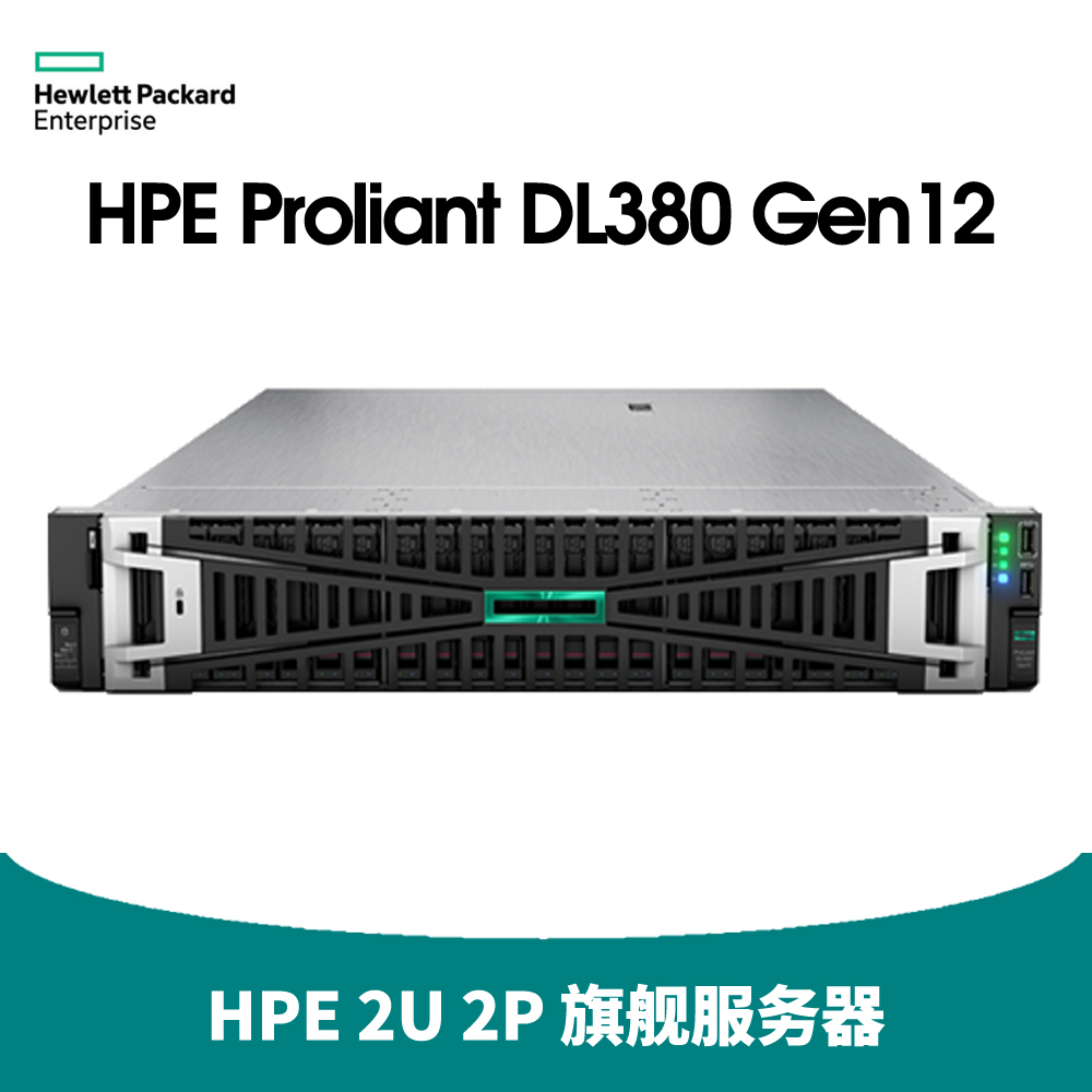 HPE DL380 Gen12 服务器