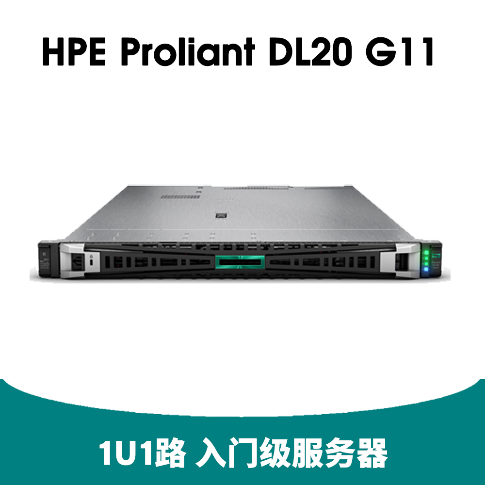 HPE DL20 Gen11 服务器