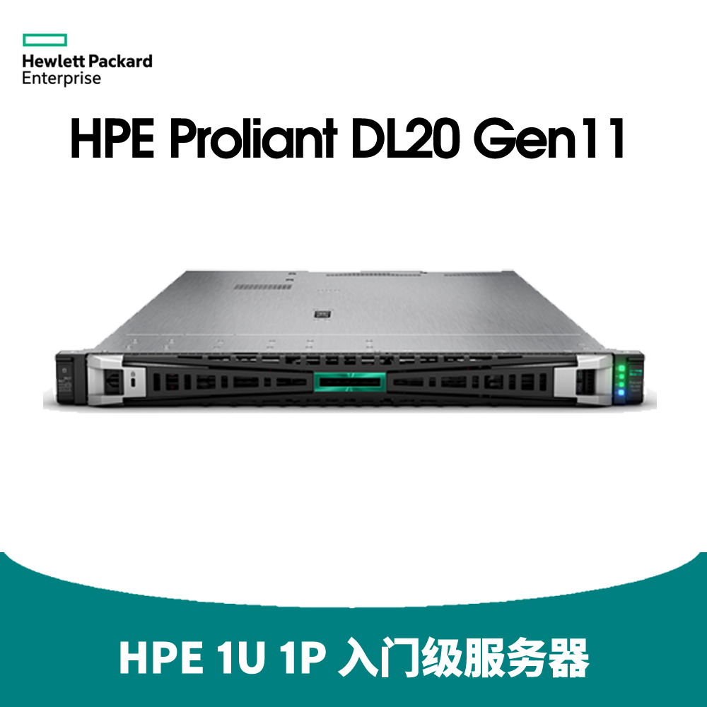 HPE DL20 Gen11 服务器