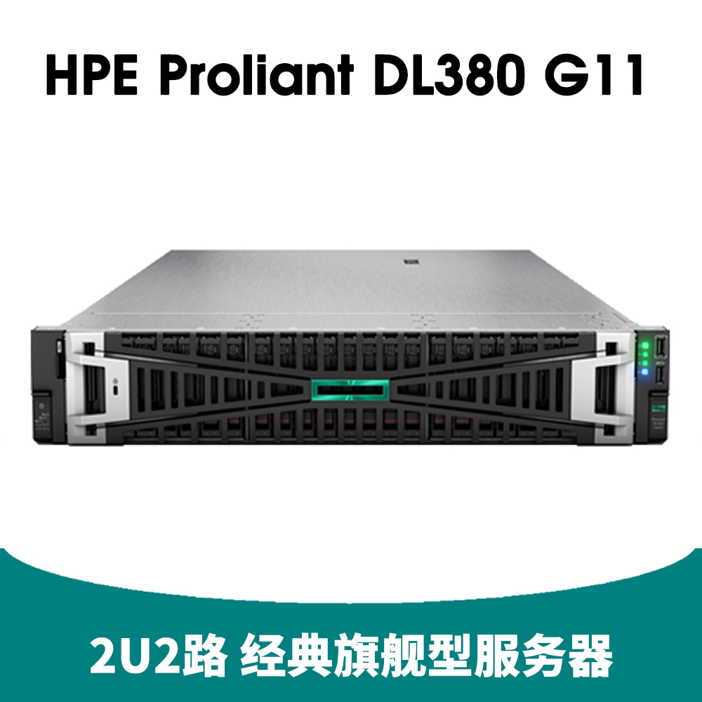 4-HPE ProLiant DL380 Gen11 服务器
