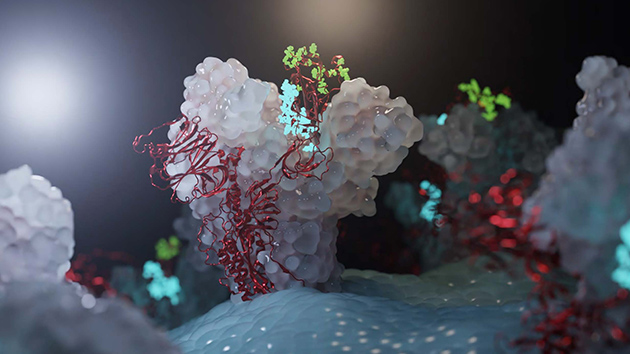 GPU服务器在医疗健康和生命科学的应用